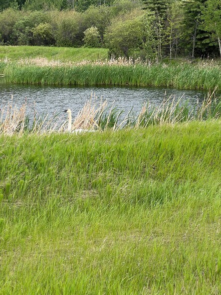 More Photos Of 714002 Range Road 85, Wembley Land For Sale