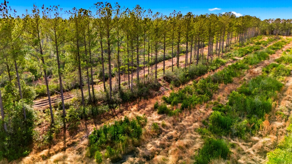 More Photos Of Highway 45, Loris Land For Sale