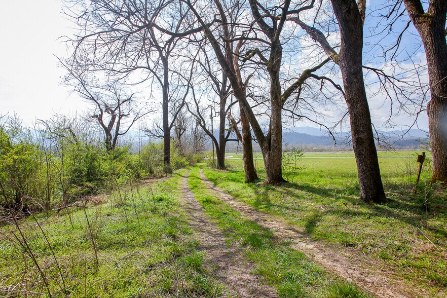 More Photos Of 6387 Airport Rd, Andrews Land For Sale