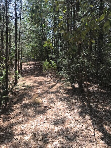 More Photos Of Canyon Creek Drive -1 @ Canyon Way, Colfax Land For Sale