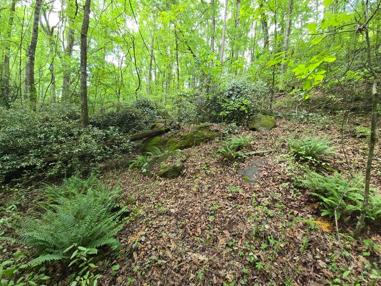 More Photos Of Davis Lake Rd @ Old Talbotton Rd, Thomaston Land For Sale