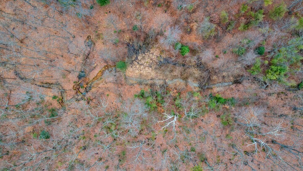 More Photos Of 2509 Caton Hill Rd, Woodbridge Land For Sale