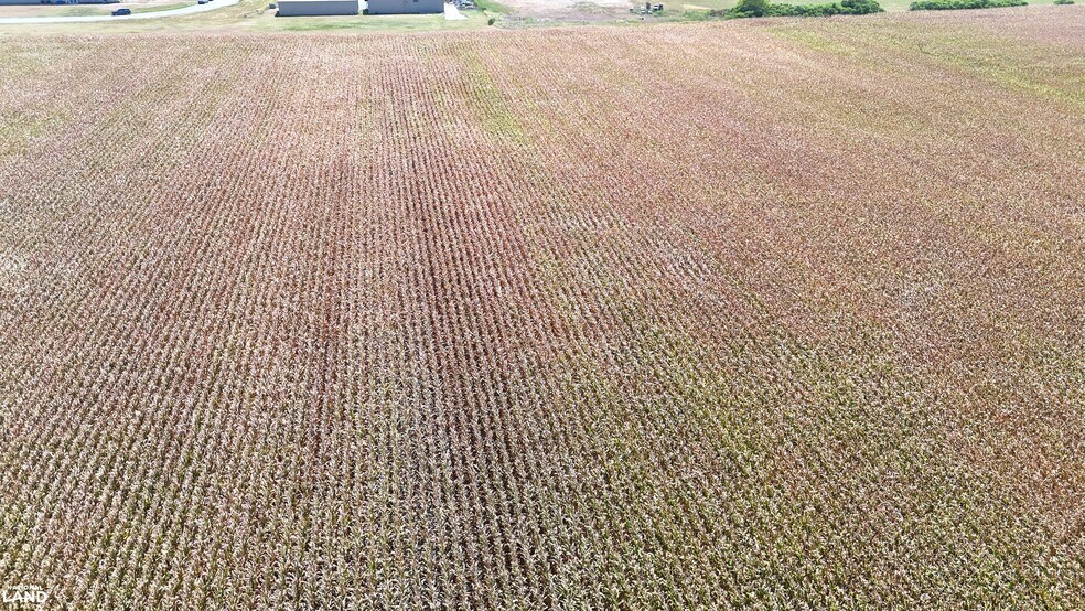 More Photos Of 1120 Highway 165 N, Stuttgart Land For Sale