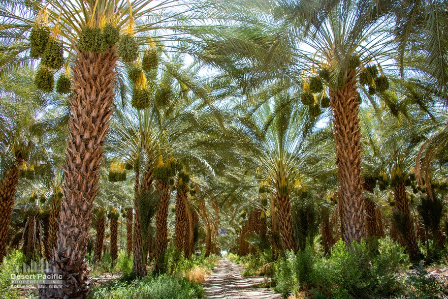 More Photos Of SEC Lincoln St & 81st Ave ave, Thermal Land For Sale