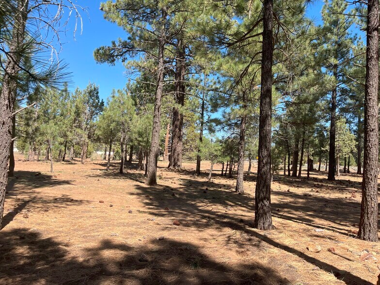 More Photos Of Erwin Ranch Rd, Big Bear City Land For Sale