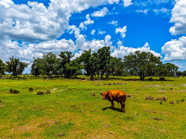More Photos Of 3030 N Nursery Rd, Zolfo Springs Land For Sale