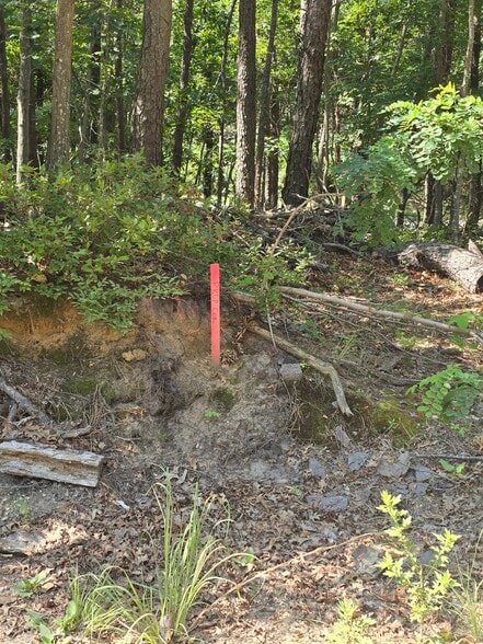 More Photos Of North Street, Manorville Land For Sale