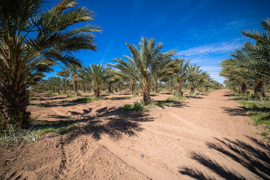 More Photos Of 17587 S Ave 3 1/2 E, Yuma Land For Sale