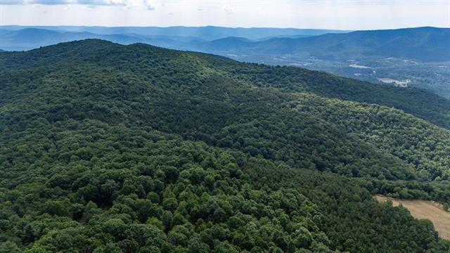 More Photos Of 22590 Criders Rd, Criders Land For Sale