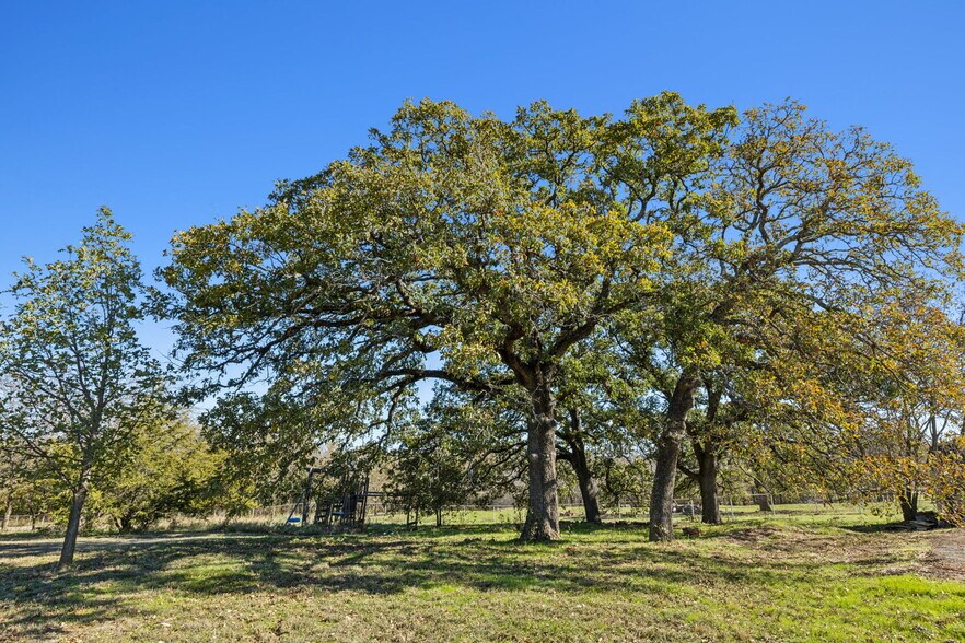 More Photos Of 2212 Spring Hill Rd, Aubrey Land For Sale