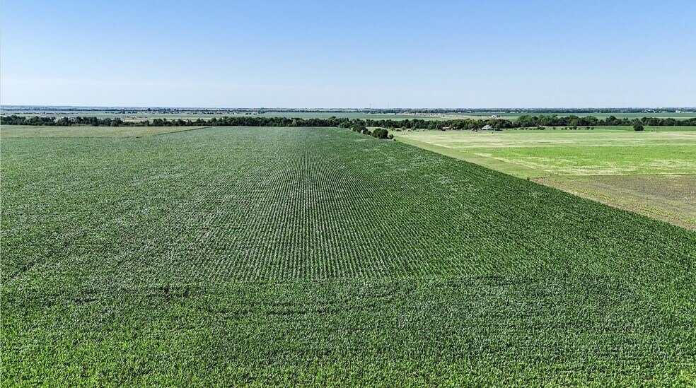 More Photos Of TBD County Road 405, Taylor Land For Sale