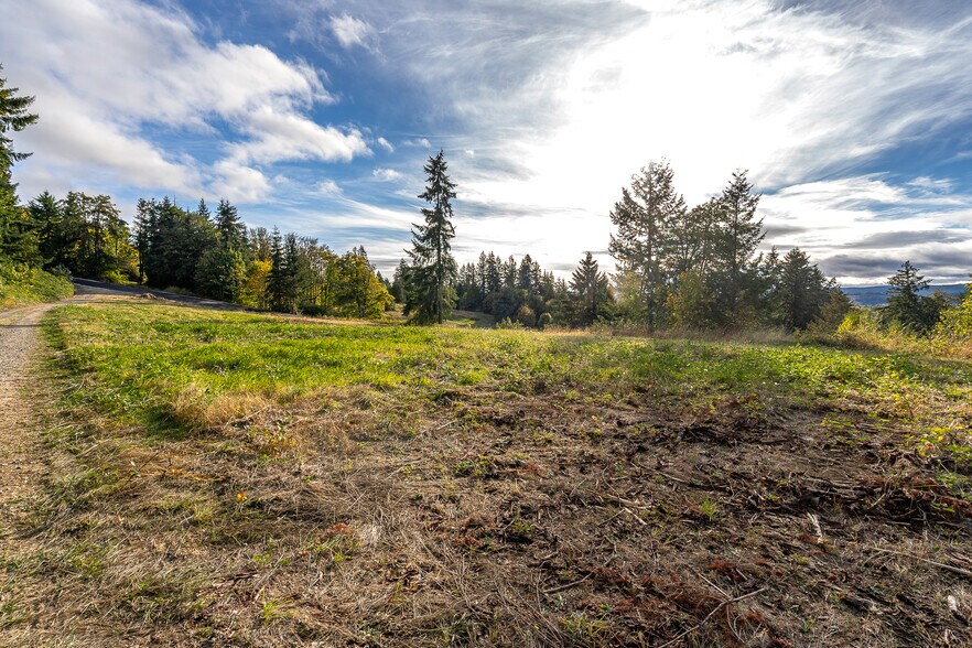 More Photos Of 0 Salzer Creek (was Fair St), Centralia Land For Sale