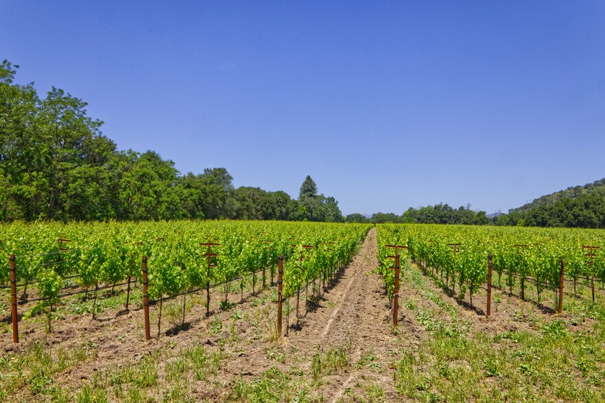 More Photos Of 6160 St Helena hwy, Napa Land For Sale