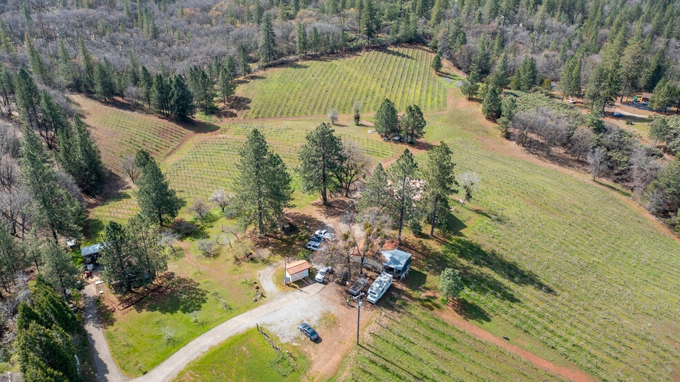 Primary Photo Of 4771 Greenhills Rd, Placerville Winery Vineyard For Sale
