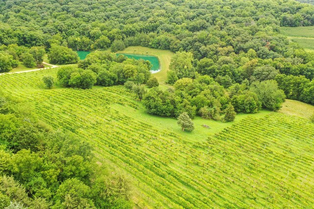 More Photos Of 2003 W Hanover Rd, Hanover Winery Vineyard For Sale