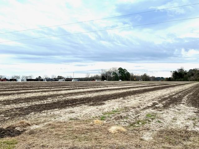 More Photos Of 8291 GA Highway 67, Brooklet Land For Sale