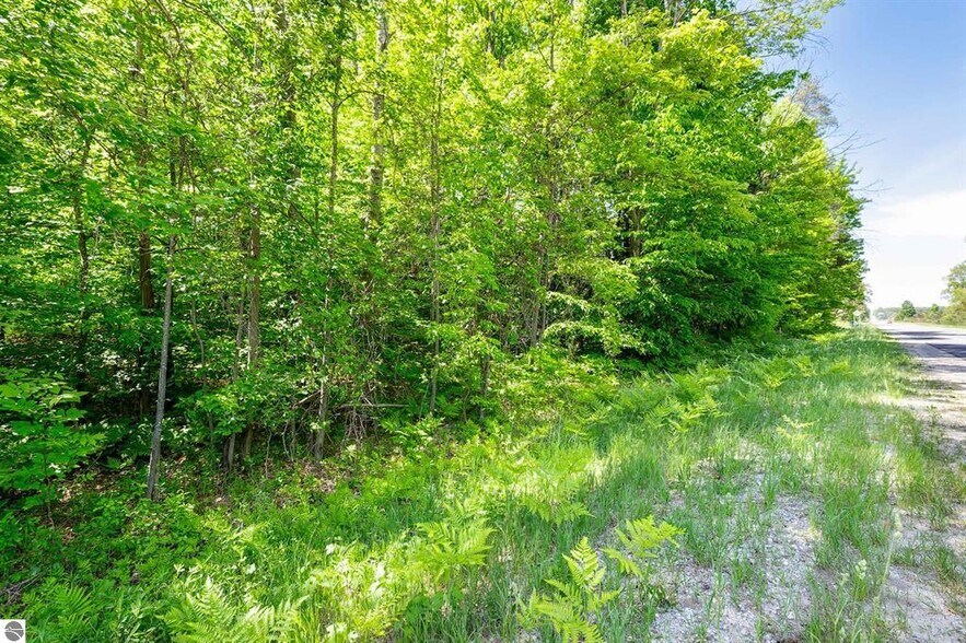 More Photos Of 7764 Weldon Road rd, Thompsonville Land For Sale