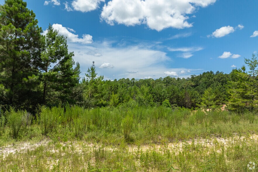 More Photos Of , Defuniak Springs Land For Sale