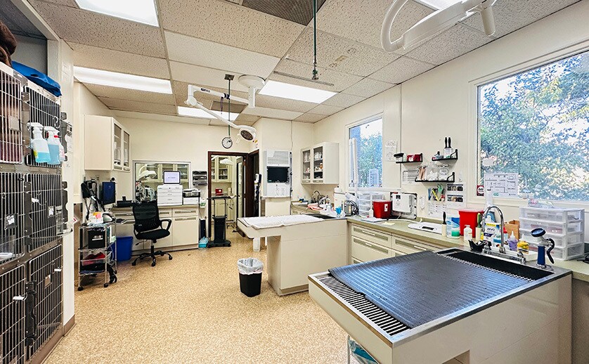More Photos Of 2460 W El Camino Real, Mountain View Office For Lease