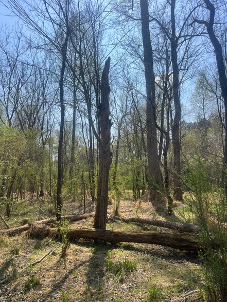 More Photos Of Healing Acres Ln, Carthage Land For Sale