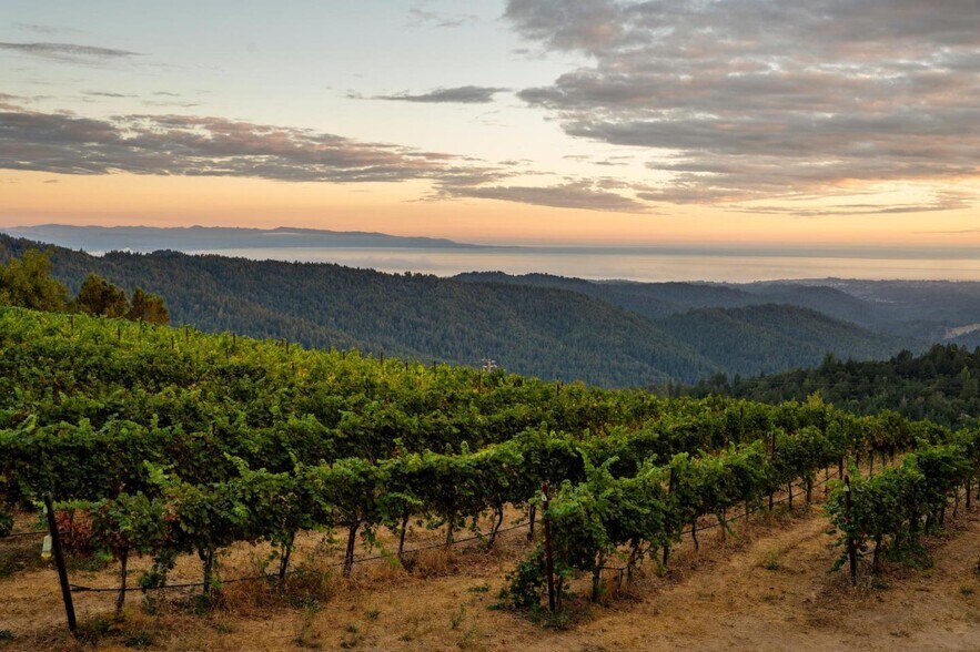 More Photos Of 25200 Loma Prieta Ave, Los Gatos Winery Vineyard For Sale