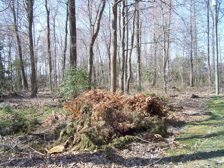 More Photos Of 25137 Lewes-Georgetown Highway & Route 30, Georgetown Land For Sale