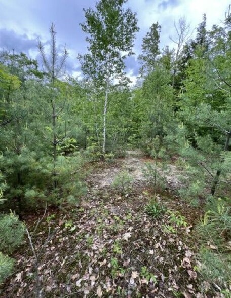 More Photos Of 225 Washington Rd, Bradford Land For Sale
