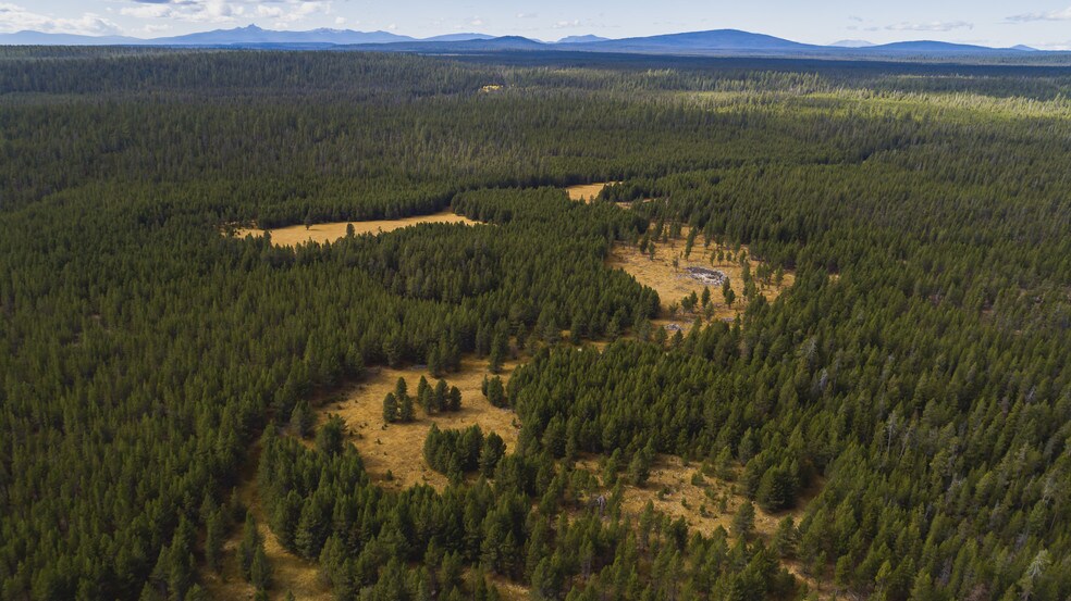 More Photos Of US Forest Service Rd, Silver Lake Land For Sale