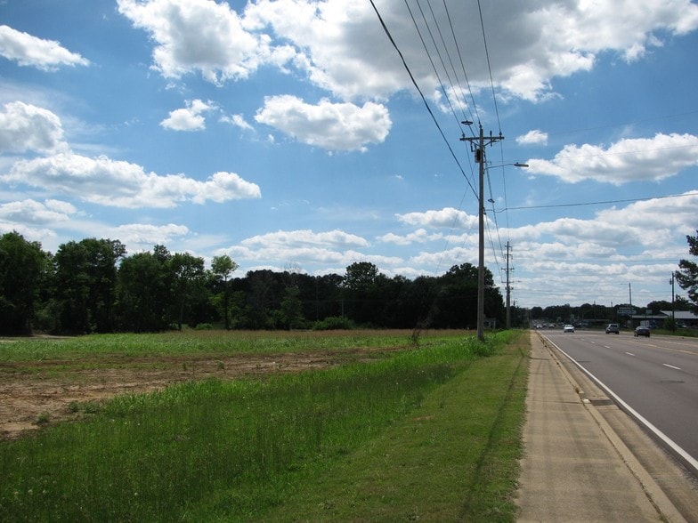 Primary Photo Of 314 S Palmer St, Adamsville Land For Sale