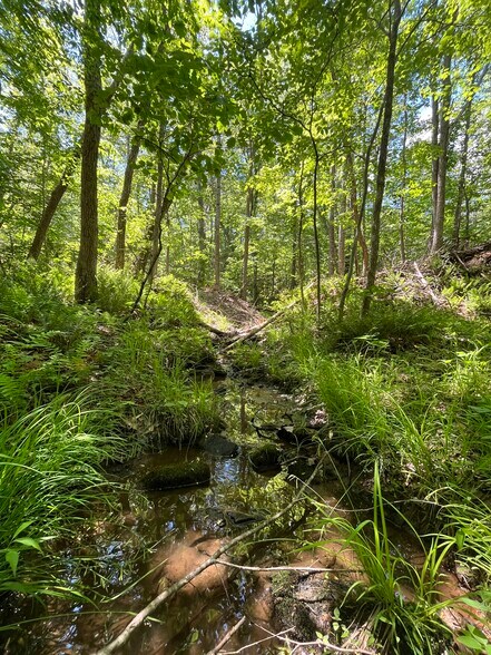 More Photos Of 00 00 Youngstown Rd, Goochland Land For Sale