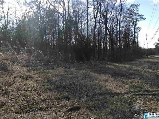 More Photos Of 12970 Highway 25, Calera Land For Sale