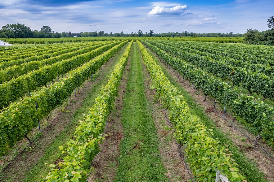 More Photos Of 314 Richwood Rd, Monroeville Winery Vineyard For Sale