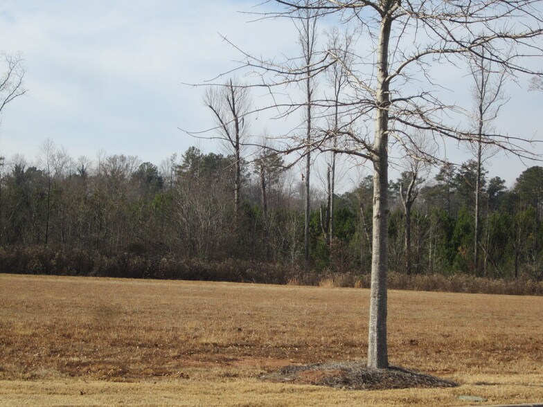 More Photos Of 130 Maple Xing, Carrollton Land For Sale