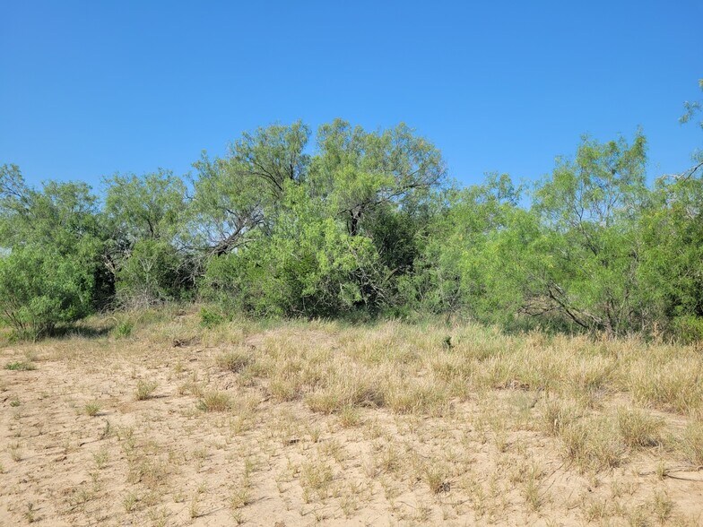 More Photos Of , Laredo Land For Sale