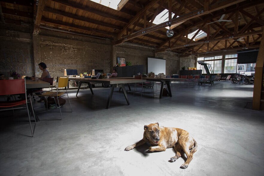 More Photos Of 930 Alabama St, San Francisco Loft Creative Space For Lease