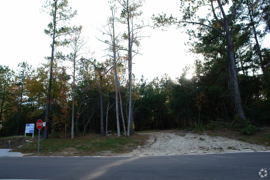 More Photos Of 0 Drive In Ln, Moncks Corner Land For Sale