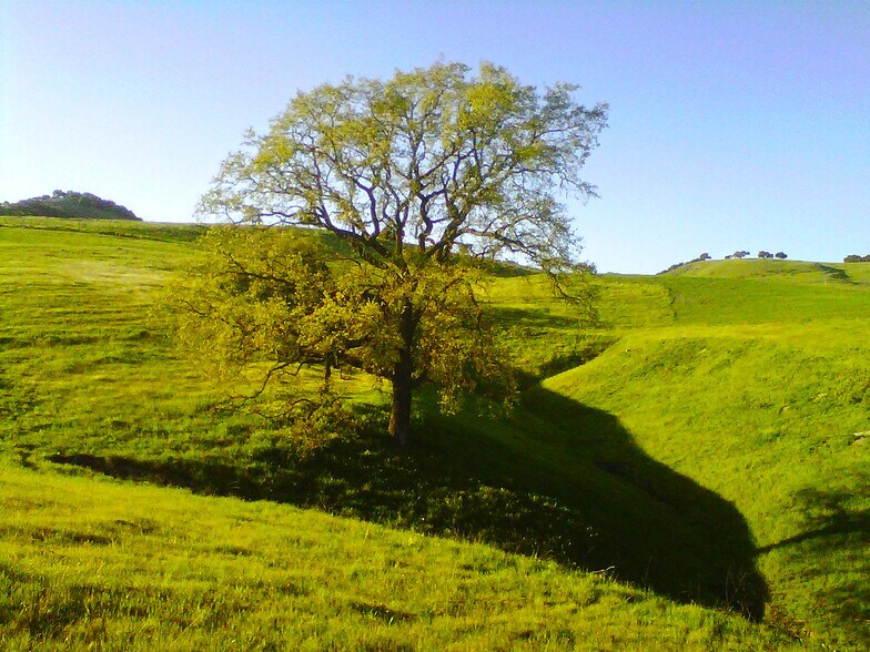 More Photos Of 2051 Highway 101, Buellton Land For Sale