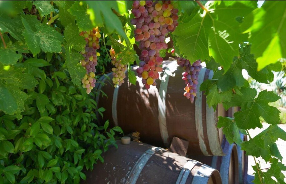 More Photos Of 14600 S Highway 101, Hopland Winery Vineyard For Sale