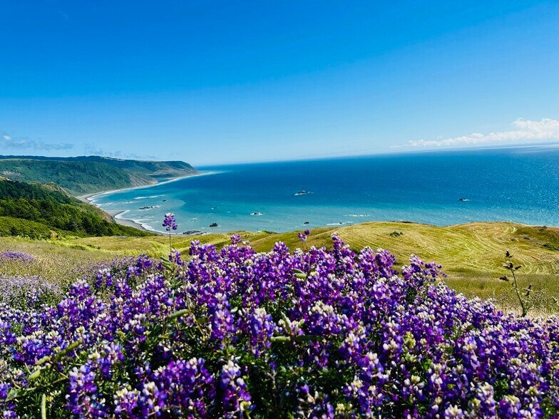 More Photos Of 26000 Mattole Rd, Ferndale Land For Sale