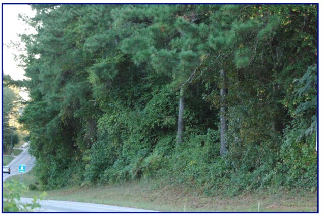 More Photos Of Mink Livsey Rd, Snellville Land For Sale