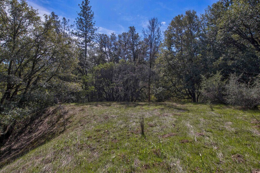 More Photos Of 18800 Charleston Rd, Volcano Land For Sale