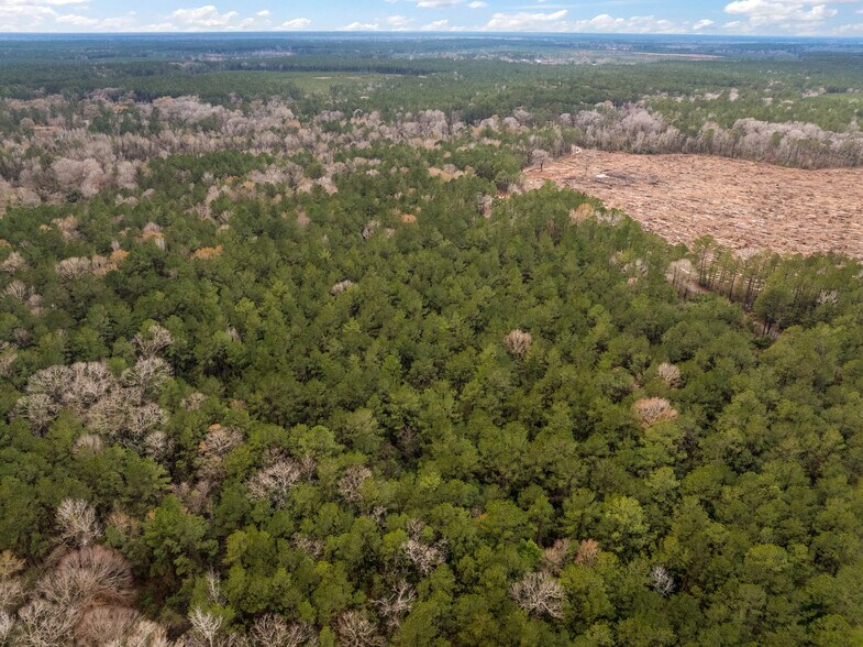 More Photos Of TBD 11 acres Tatoo Rd, Glenmora Land For Sale