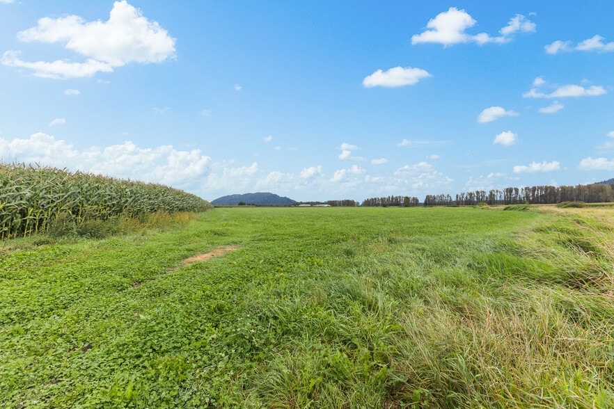 More Photos Of 8713 Howell Rd, Deroche Land For Sale