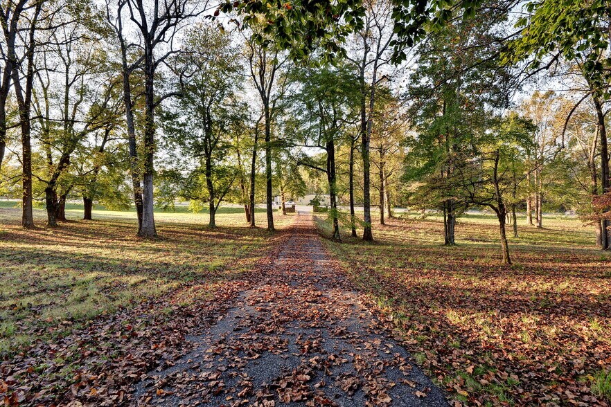 More Photos Of 16380 Forest Rd, Forest Land For Sale