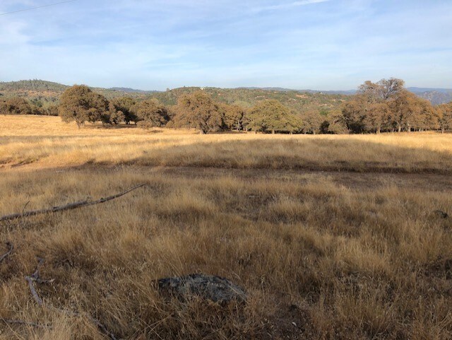 More Photos Of 1484 Oregon Gulch, Oroville Land For Sale