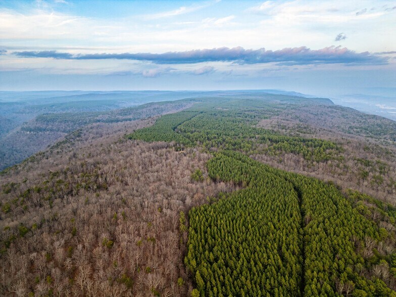 More Photos Of 762 Smith Mountain Rd, Dunlap Land For Sale