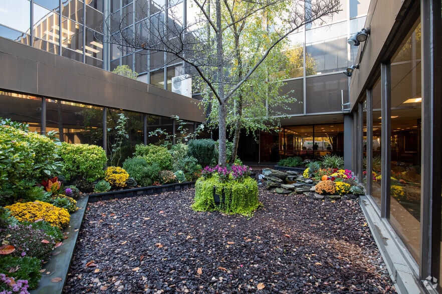 More Photos Of 98 Cuttermill Rd, Great Neck Office For Lease