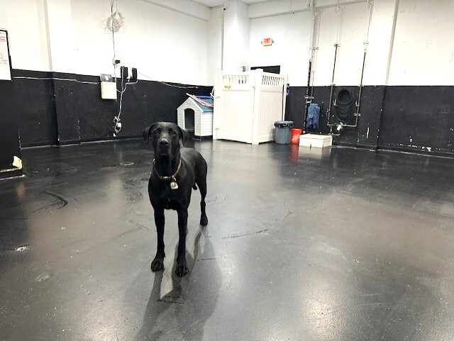 More Photos Of 127 W 7th St, Long Beach Storefront For Sale