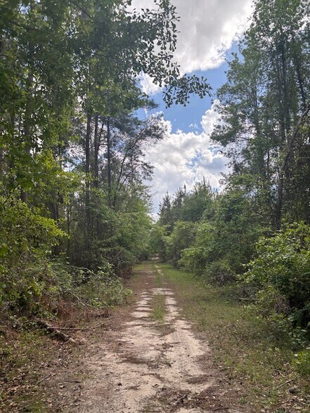 More Photos Of 0 New Bethel Church Rd, Fitzgerald Land For Sale