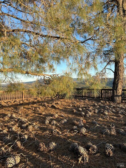 More Photos Of 7590 CA-29 Hwy, Kelseyville Land For Sale